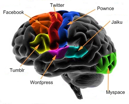 diagram_brain_cortex